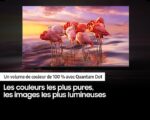 75" samsung QLED smart 4k 75Q67B