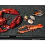Plancha Plaque lisse Galexia Premium 2200W  MA9968447000